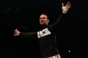 cm punk