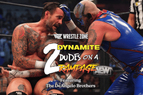 AEW 2 Dynamite Dudes CM Punk Dustin Rhodes