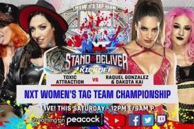 nxt women's tag team championship nxt stand and deliver