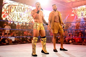 Carmelo Hayes WWE NXT 2.0