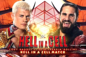 Cody Rhodes Seth Rollins WWE Hell in a Cell