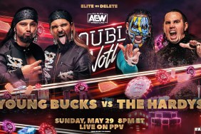 The Young Bucks The Hardys AEW Double or Nothing