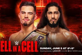Theory Mustafa Ali WWE Hell in a Cell