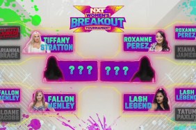 WWE NXT Women's Breakout Tournament Nikkita Lyons