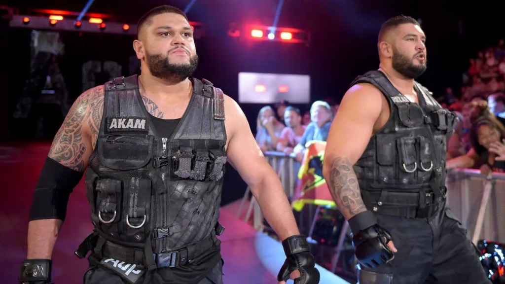 Report: WWE Considering Potential Return For Authors Of Pain