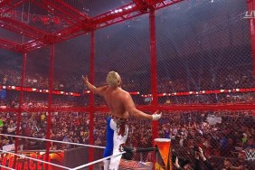 Cody Rhodes WWE Hell in a Cell 2