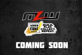 mlw boss fight