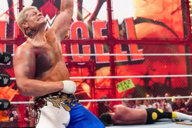 Cody Rhodes Seth Rollins WWE Hell in a Cell