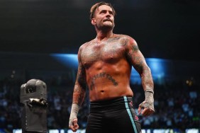 cm punk