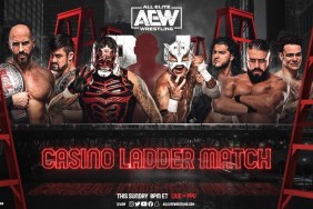 AEW All Out Casino Ladder match