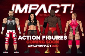 IMPACT Wrestling Action Figures(
