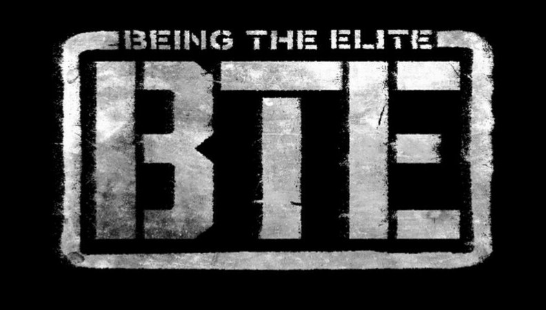 Being The Elite