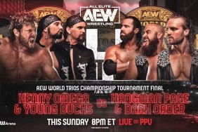 aew world trios championship all out