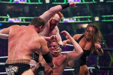 Sheamus Brawling Brutes WWE