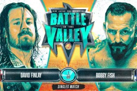 Bobby Fish David Finlay NJPW Battle in the Valley
