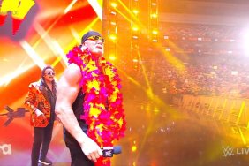 Hulk Hogan WWE RAW