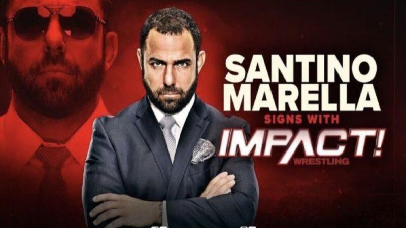 Santino Marrella IMPACT Wrestling