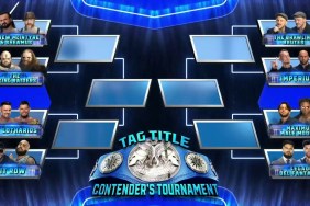 WWE SmackDown Tag Team Title Tournament