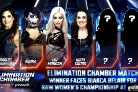 Women's WWE Elimination Chamber