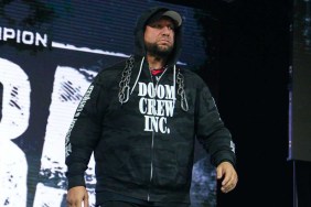 bully ray