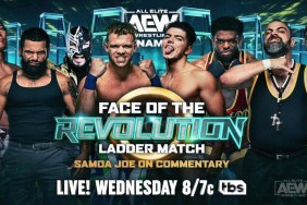 AEW Face of the Revolution Ladder Match AEW Dynamite