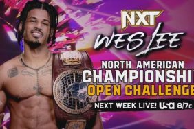 Wes Lee NXT open challenge
