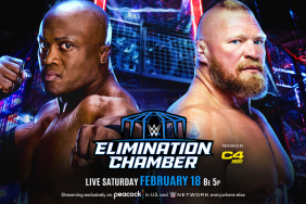WWE Elimination Chamber: Brock Lesnar vs. Bobby Lashley Result