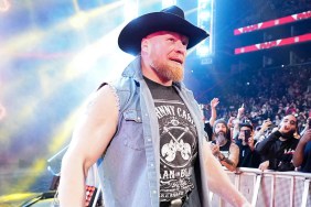 brock lesnar