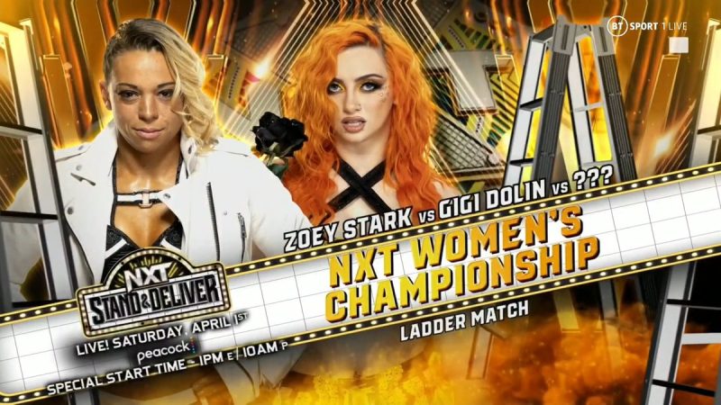 NXT Women's Title Ladder Match NXT Stand And Deliver