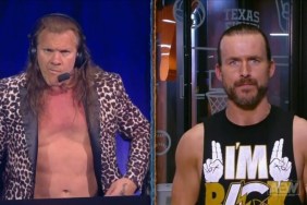 Adam Cole Chris Jericho AEW Double or Nothing