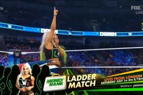 Zelina Vega WWE SmackDown WWE Money in the Bank