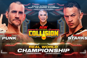 CM Punk Ricky Starks Ricky Steamboat AEW Collision