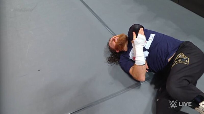 Sami Zayn WWE RAW