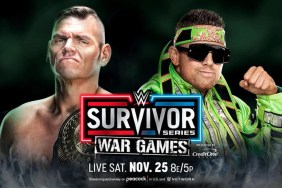 WWE Survivor Series The Miz Gunther