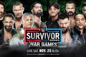 WWE Survivor Series Men's WarGames