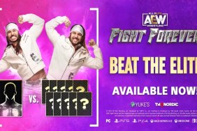 AEW Fight Forever Beat The Elite