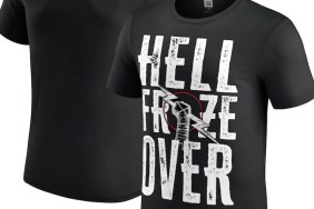 Hell Froze Over WWE CM Punk