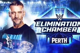 CM Punk WWE Elimination Chamber