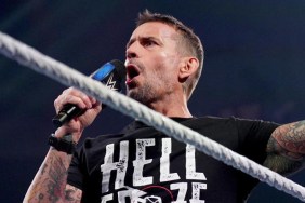 CM Punk WWE