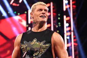 cody rhodes WWE