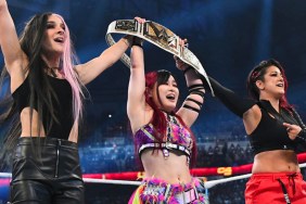 damage ctrl bayley