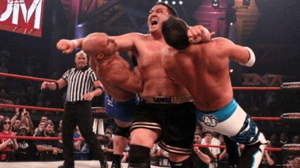 TNA Turning Point 2009 main event