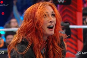 Becky Lynch WWE RAW WWE Elimination Chamber