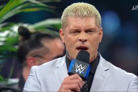 Cody Rhodes WWE Elimination Chamber