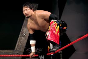 WWE Tajiri