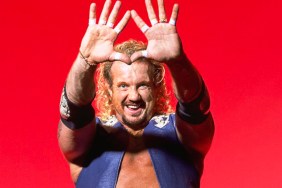 diamond dallas page wcw DDP