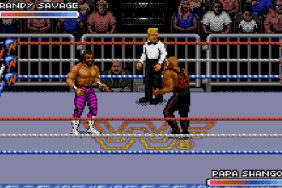 Surprising Fact Regarding Old-School WWF Royal Rumble Video Game