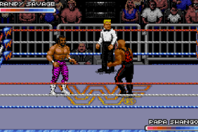 Surprising Fact Regarding Old-School WWF Royal Rumble Video Game
