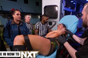Lyra Valkyria WWE NXT