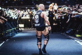 Stone Cold Steve Austin WrestleMania 19